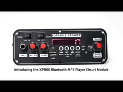 2x10W 7.4V Microfone Trolley alto-falante Opções sem fio com fio Interface FM Radio Sound Card BT Decodificação