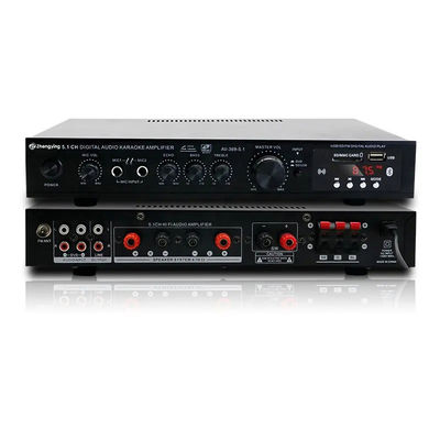 LDZS 5.1 Canal Amplificador de Áudio Profissional Ktv Home Theatre System 2 Mics Input Speaker Mixer