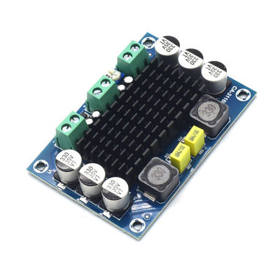 Placa amplificadora de áudio mono original CA-3116D 100W com chip TPA3116D2 e entrada de 12-24V