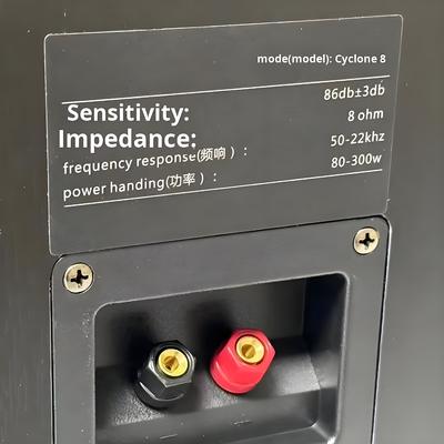 Traje:Ciclone No. 8 Alto-falante de amplificador doméstico de três vias pintado com amplificador SR8800 e subwoofer de 10 polegadas
