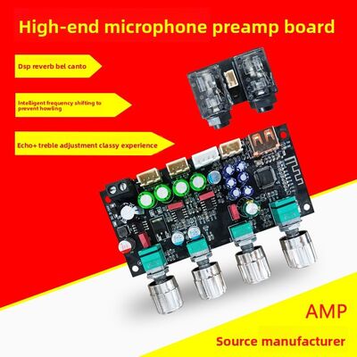 AMP Mike Front Board Power Amplifier Board Karaoke Reverb Board Microphone K Song Singing DSP Mixing Anti-Howling Made in China